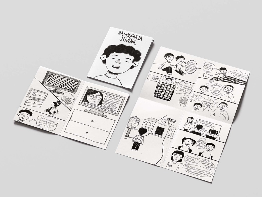 Insurgencia Juvenil, fanzine editorial